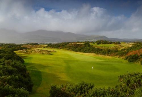 royal-co-down1.jpg_1589967060