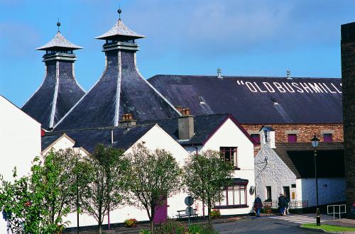 16870_Old Bushmills Distillery.jpeg_1588715129
